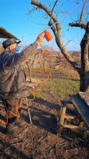 Elderly Gardener Spraying Orchard #diy #fruittrees #gardening #homestead #gardenwork #notalking