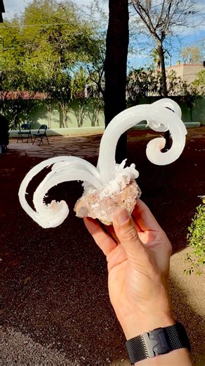 Alan Hart BSc FGA DGA on Instagram: "Now this specimen totally stopped me in my tracks! It is a classic specimen of the hydrated calcium sulphate gypsum, a soft and common sulfate mineral, its name derived from the Greek “gypsos” meaning “plaster”. This specimen, however, shows the perfect “Ram’s Horn” variety (and stating the somewhat obvious) alludes to the curved horns of a ram. Many ‘great’ examples are known from Greece, Morrocco and Mexico, but this stunning example comes from Dachang, Qin