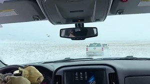 2.9K views · 655 reactions | This weekend, Jeff Corwin heads to the Great Plains and joins the Intertribal Buffalo Council as they work to corral a herd of bison before transporting them across state lines. The Intertribal Buffalo Council represents 76 native tribal communities who are working to restore herds of bison throughout the Great Plains. | Wildlife Nation | Facebook