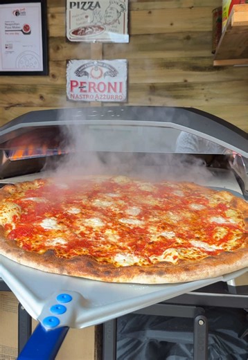 Delicious New York Style Pizza Recipe for Family Lunch