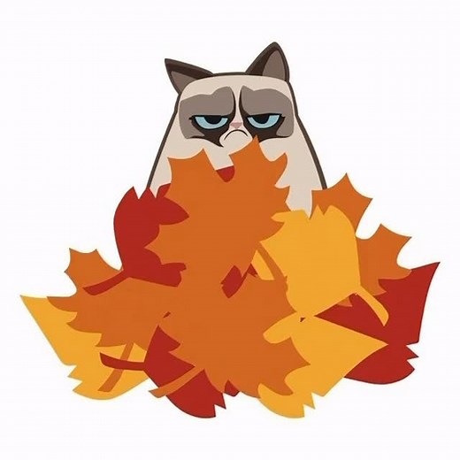 3K views · 3.9K reactions | The Official Grumpy Cat on Reels | Facebook