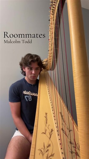 Harp Cover: