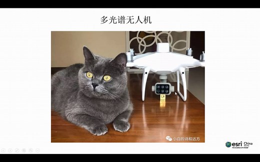 第二期：多光谱无人机的GIS应用入门简介