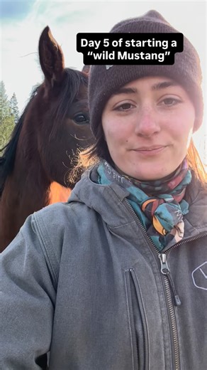 Penny Pett on Instagram: "Still workshopping names… I have been picking up a lot of extra shifts lately, so I haven’t had as much time spent as I would like with my new girl. But! We are getting there, she has had a few very clear “no thank you” reactions, and we are working through them. The thing I love about her is even when she is afraid of something or doesn’t like something I ask, she responds without exploding."