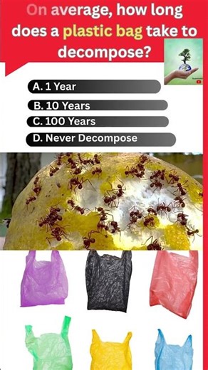On average, how long does a plastic bag take to decompose? #sustainability#plastic