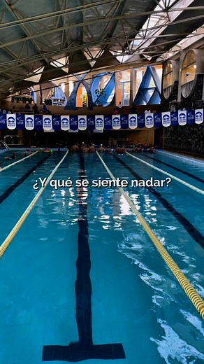 Amamos ese sentimiento... 🪽💙 | Aquax Escuela de Natacion