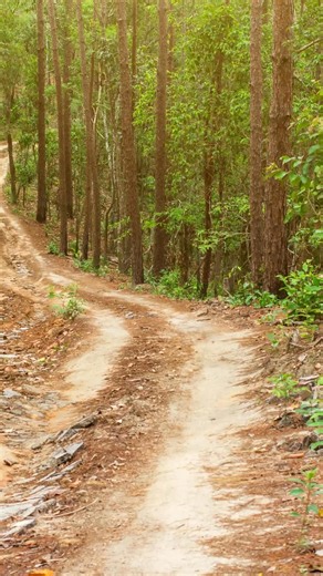 Update your 70 Series coil conversion with the new billet 7075-T6 upper control arms. These arms are on-car adjustable, allowing you to dial in the perfect pinion angle and differential alignment. Machined entirely from 7075-T6 aluminium, they offer exceptional corrosion resistance, lightweight performance, and incredible strength—and they look damn good. Available now! https://tinyurl.com/32f396mm #superiorengineering #superior4x4 #superior #coil conversion #billet #billet7075T6 #7075t6 | Super