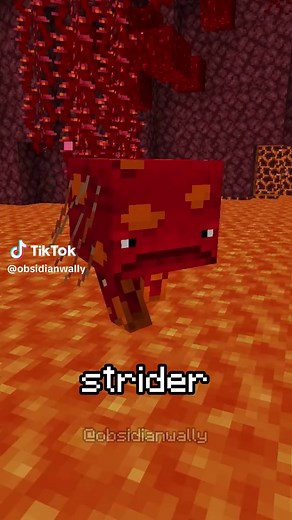 Build an Automatic Strider Farm in Minecraft