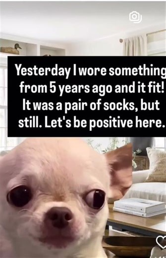 socks still fit #shortvideos #funny #memes #viral #shorts #short #youtubeshorts