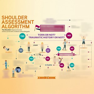 Last chance to receive the bonus Shoulder assessment package: Shoulder assessment algorithm, Stiff shoulder diagnostic algorithm and Stiff shoulders at a glance. Receive all three free with registration on the Shoulder: Steps to Success online course today only. Earlybird bonus 1 - Shoulder assessment algorithm. Accurately assess your patients shoulder pain. This early bird bonus gives you a clear shoulder assessment pathway to follow. You'll quickly and accurately identify your patient's likely