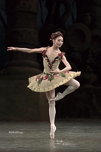 The Art of Ballet: Exploring the Beauty of Dance