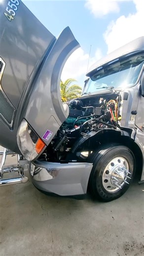 The Ultimate Guide to Truck Detailing on TikTok