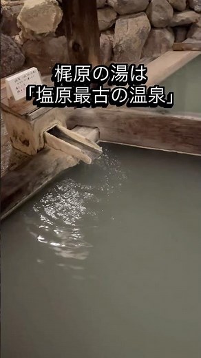 異なる源泉の混浴風呂と看板猫に癒される宿 塩原元湯温泉「ゑびすや」 #混浴