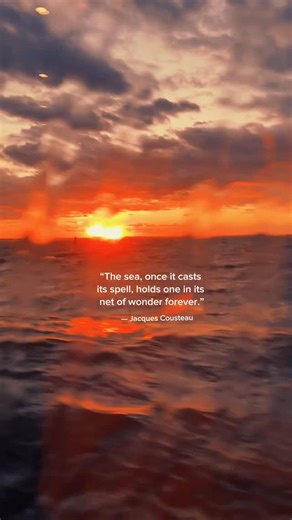 The Spotted Whale on Instagram: "November sunsets at the shore are pure magic 🌅 🌊"