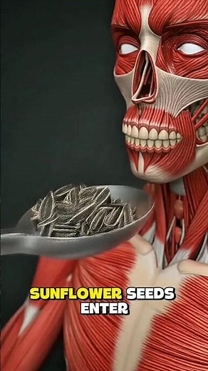 What Happens When You Eat Sunflower Seeds? | Inside Human Body Digestion Animation #healthygrains