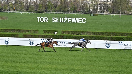 Wyścigi konne, Służewiec 2024: Nagroda Europy [ZAPIS]