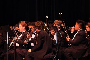 BRHS Band Performs at State Gala