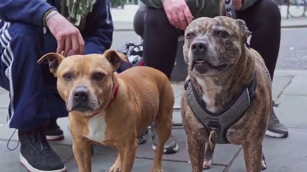 Primal Scream’s Simone Butler on her “eye-opening” new documentary, ‘Year Of The Dog’