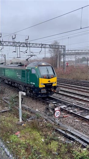 New kid on the tracks and stealing the show 😎