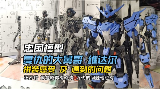 88元 忠国复仇的大舅哥 MG维达尔 略贵 不敢乱掰 附带取件表，