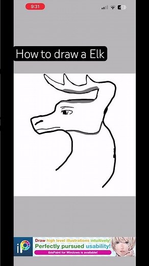 This is The way To draw a Elk