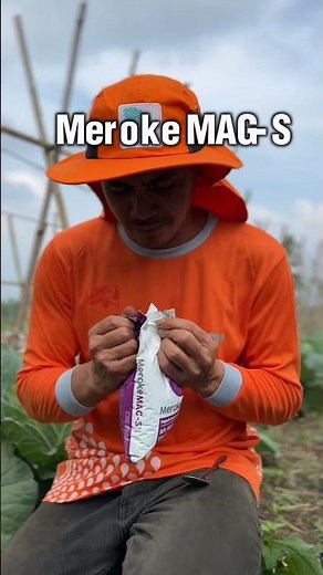 SOLUSI PEMUPUKAN DI MUSIM HUJAN