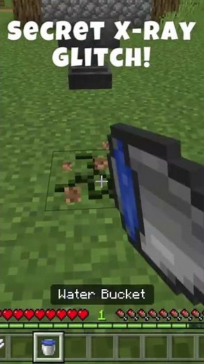 Secret xray glitch in minecraft