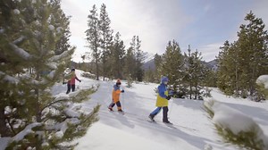 257K views · 4.1K reactions | A town w/its own tubing hill, sleigh rides, beginner ski/ride hill, a cross country ski area, and a charming Main Street within 30 mins of 6 ski resorts! It might be time to make Frisco your winter basecamp. SHOUTOUT: Who's visited Frisco's charming Main Street? | Visit Colorado | Facebook