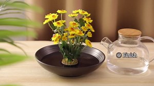 WILLBOND 3 Pcs Mini Flower Frogs Set Round Brass Floral Frog for Arrangements Small Vase Japanese Ikebana Kenzan Flower Pin Holder Fixed Tools for Beginner Plant DIY Desk Decor, 0.91", 1.02", 1.3"