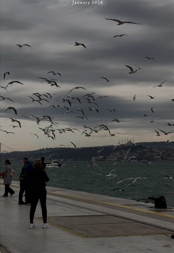 Discover the Beauty of Istanbul: Galataport Highlights
