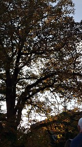 Aeroshow Sisak 2025. - let za heroje | Sisak.Info