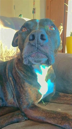 80s computer took off and went wild