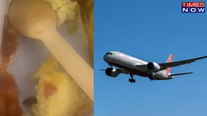 Cockroach in Air India Flight Meal? Passenger Alleges Food Poisoning, Shares Video; Airline Responds