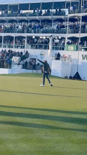 19K views · 30 reactions | Electric scenes post-birdie on the 16th. ⚡ : Golf Channel & @peacock | @wmphoenixopen | Golf Channel | Facebook