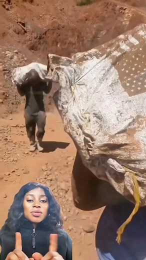 9.4K views · 45 reactions | Hundreds working together to find hidden gold #goldmining #Teamwork #viral | Chichi SmartLiving | Facebook