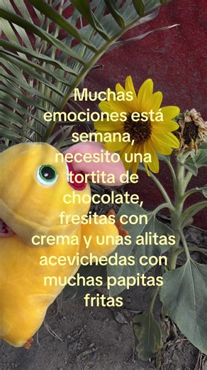 Torta de chocolate para muchas emociones esta semana