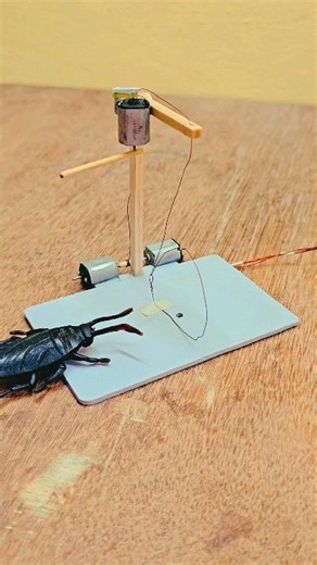 117K views · 19K reactions | Cockroach trap with dc motor and stick pulling up #engineering #cockroach #trap #funny #electronics #viral | Science & Engineering | Facebook