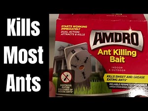 AMDRO Ant Killing Bait Stations with Stakes