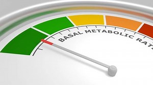Basal Metabolic Rate Abstract Measuring Device Stock Footage Video (100% Royalty-free) 3528347447 | Shutterstock
