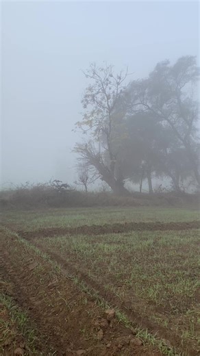 Exploring Sada Punjab's Pindawale and Culture