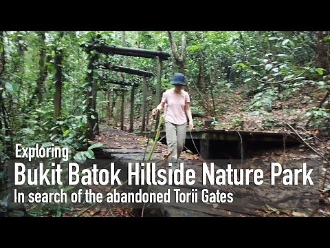 Exploring Bukit Batok Hillside Nature Park - In search of the abandoned Torii Gates [4K]