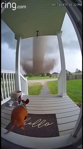 A f5 Tornado Sucks in a Weiner Dog!