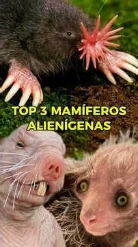¡TOP 3 MAMÍFEROS ALIENÍGENAS!