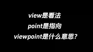 view是看法，point是指向，viewpoint是什么意思？