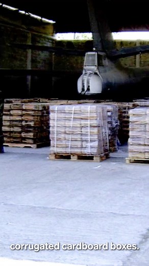 David Packouz is a former arms trader. In 2005, he joined the arms dealer Efraim Diveroli at AEY, bidding on contracts for the US military. In 2007, AEY won a $300 million contract to supply munitions to Afghanistan. Packouz was part of a cover-up to disguise the true identity of the ammunition, concealing that it was of Chinese origin. | Insider