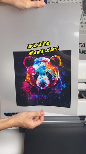DTF printing with Procolored F13 #procolored #dtfprinting #procoloredf13 #dtfprinter