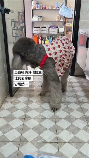 Lost in Paper: What to Do When You're Out of Stock