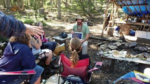 1.1K views · 21 reactions | Mushroom Hunting 101 August 11 2019...