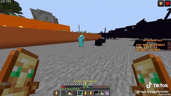 Exploring Minecraft's Unique Features and Communities