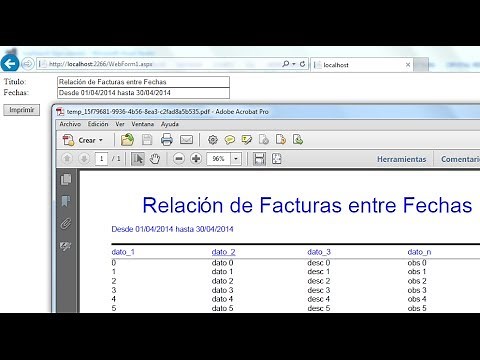 05 Crystal Reports con datos dinámicos